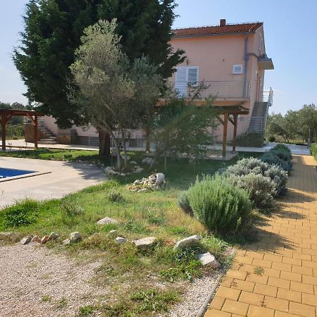 Olive Apartments Ugljan Εξωτερικό φωτογραφία