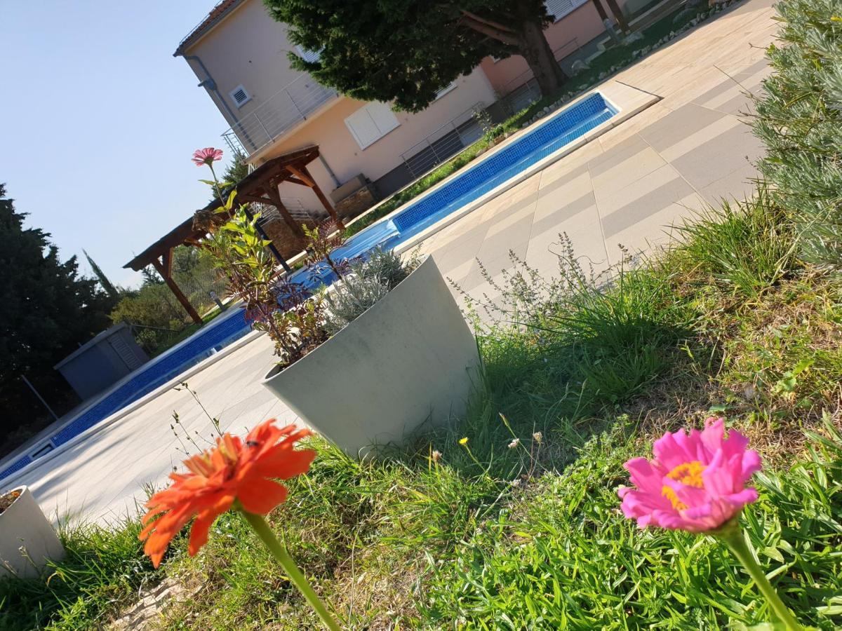 Olive Apartments Ugljan Εξωτερικό φωτογραφία