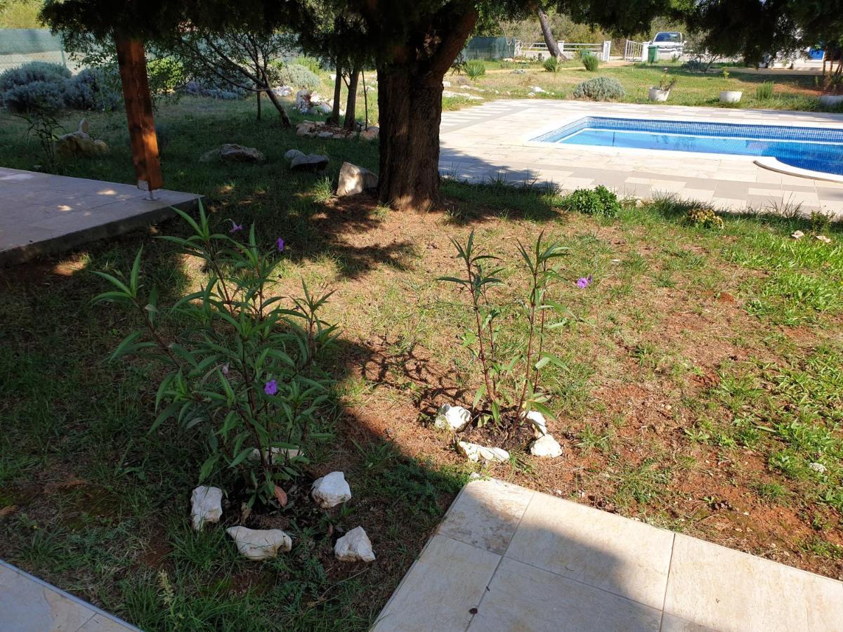 Olive Apartments Ugljan Εξωτερικό φωτογραφία