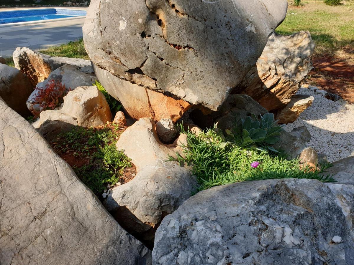 Olive Apartments Ugljan Εξωτερικό φωτογραφία