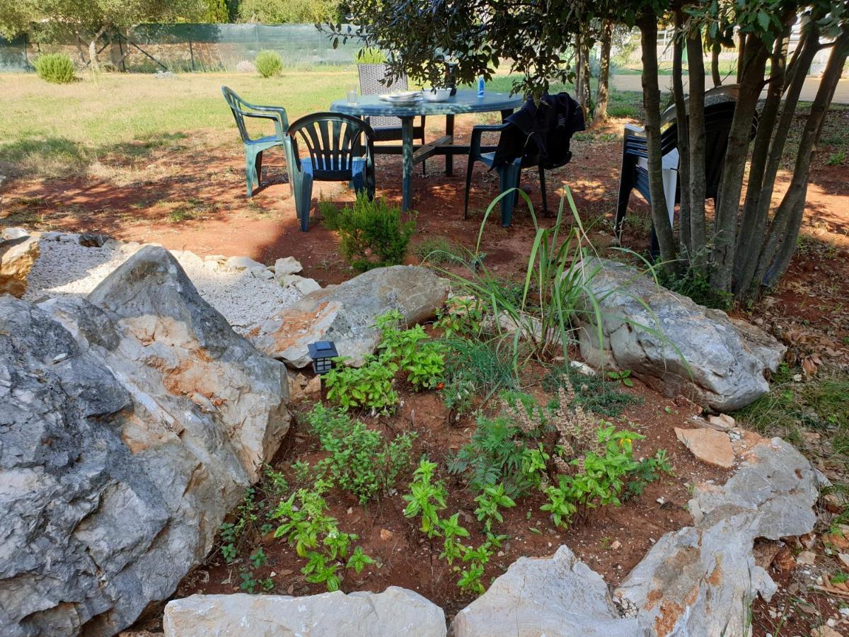 Olive Apartments Ugljan Εξωτερικό φωτογραφία