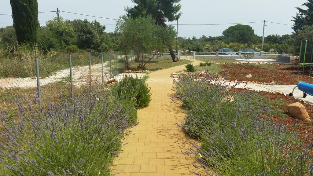Olive Apartments Ugljan Εξωτερικό φωτογραφία
